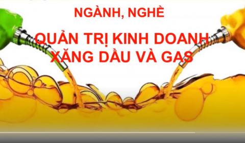 Giới thiệu ngành, nghề Quản trị kinh doanh xăng dầu và gas